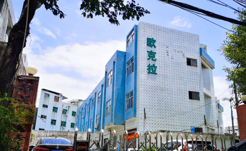 2021年東莞市歐克拉電子科技有限公司全面升級管理項目圓滿成功！