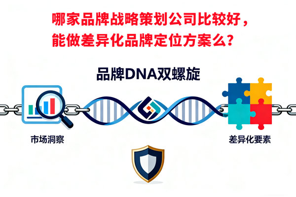 哪家品牌戰(zhàn)略策劃公司比較好，能做差異化品牌定位方案么？