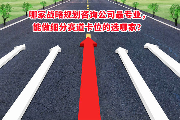 哪家戰(zhàn)略規(guī)劃咨詢公司最專業(yè)，能做細(xì)分賽道卡位的選哪家？